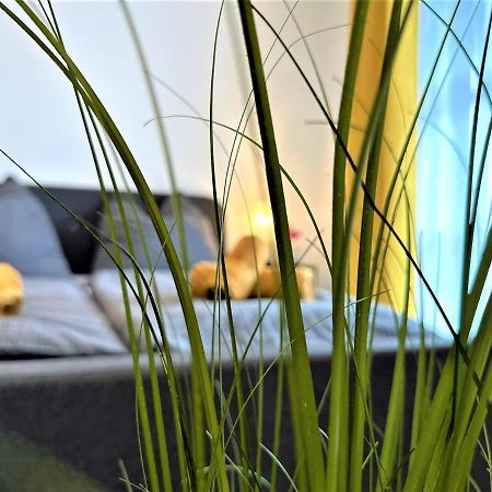 Gemuetliches Studio Im Bayerwald +Pool +Sauna +Wifi Zwiesel Dış mekan fotoğraf