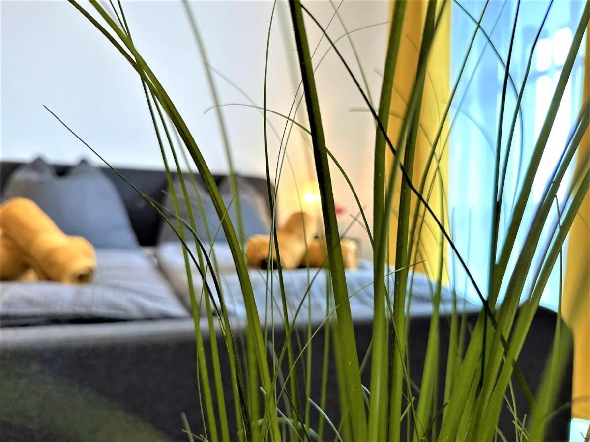 Gemuetliches Studio Im Bayerwald +Pool +Sauna +Wifi Zwiesel Dış mekan fotoğraf